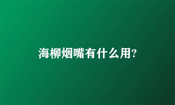 海柳烟嘴有什么用?