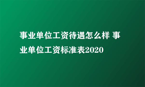 事业单位工资待遇怎么样 事业单位工资标准表2020