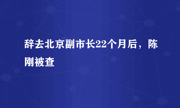 辞去北京副市长22个月后，陈刚被查