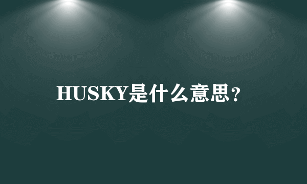 HUSKY是什么意思？