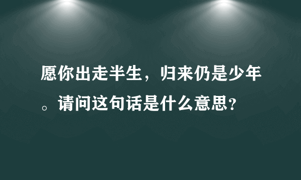 愿你出走半生，归来仍是少年。请问这句话是什么意思？