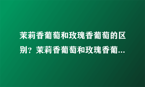 茉莉香葡萄和玫瑰香葡萄的区别？茉莉香葡萄和玫瑰香葡萄的不同点