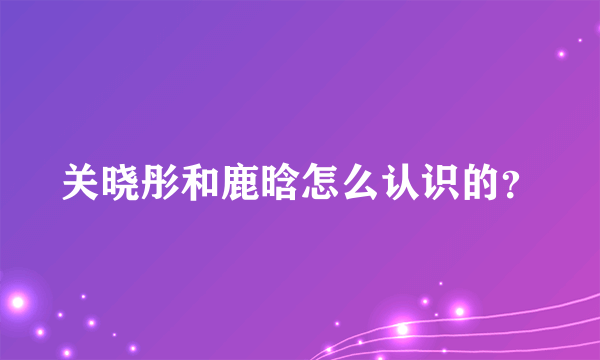 关晓彤和鹿晗怎么认识的？