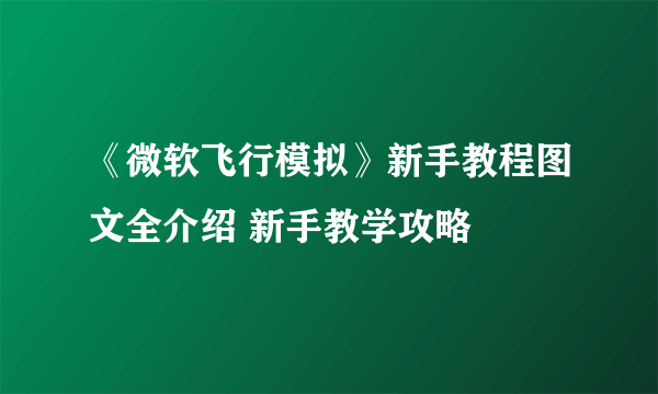 《微软飞行模拟》新手教程图文全介绍 新手教学攻略