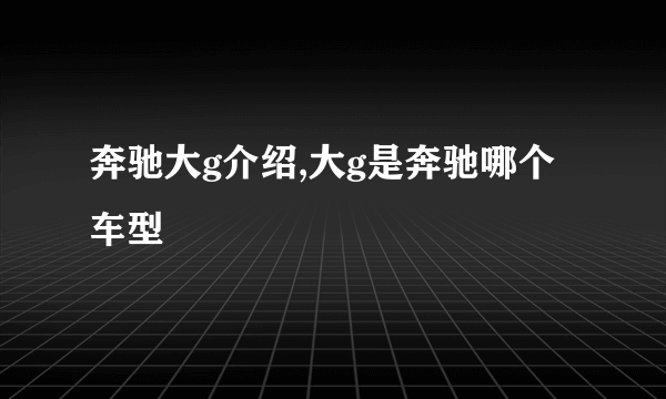 奔驰大g介绍,大g是奔驰哪个车型