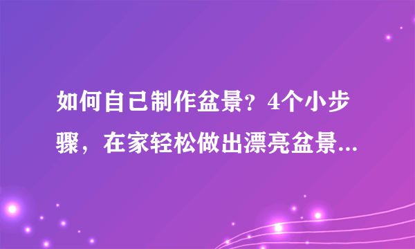 如何自己制作盆景？4个小步骤，在家轻松做出漂亮盆景，越看越美