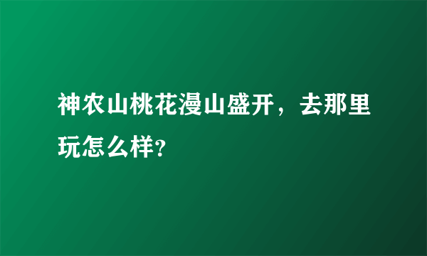 神农山桃花漫山盛开，去那里玩怎么样？