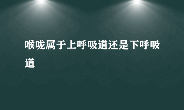 喉咙属于上呼吸道还是下呼吸道