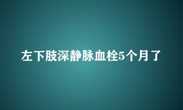 左下肢深静脉血栓5个月了