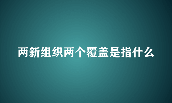 两新组织两个覆盖是指什么