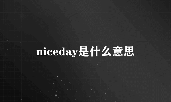 niceday是什么意思