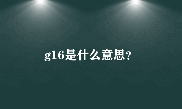 g16是什么意思？