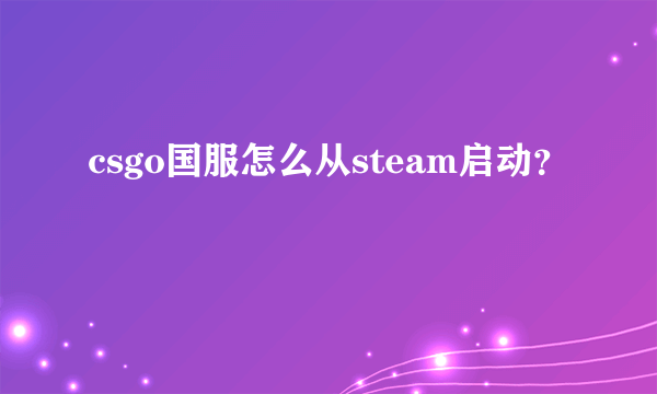 csgo国服怎么从steam启动？