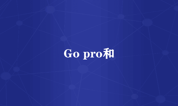 Go pro和