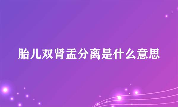 胎儿双肾盂分离是什么意思