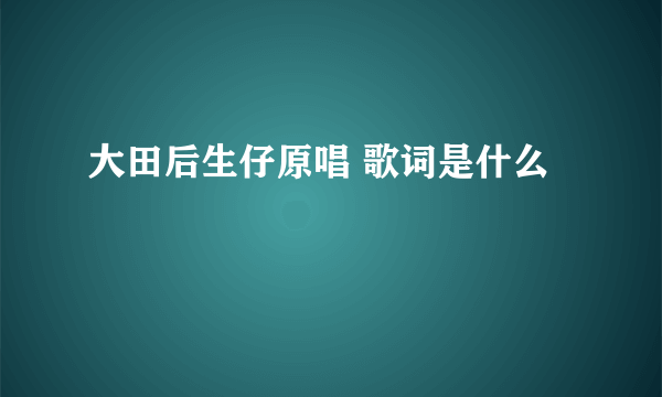 大田后生仔原唱 歌词是什么