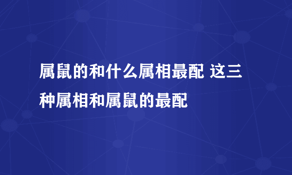 属鼠的和什么属相最配 这三种属相和属鼠的最配