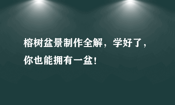 榕树盆景制作全解，学好了，你也能拥有一盆！