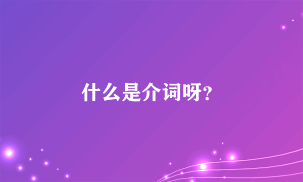 什么是介词呀？