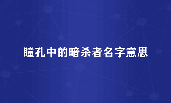 瞳孔中的暗杀者名字意思