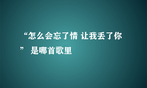 “怎么会忘了情 让我丢了你” 是哪首歌里