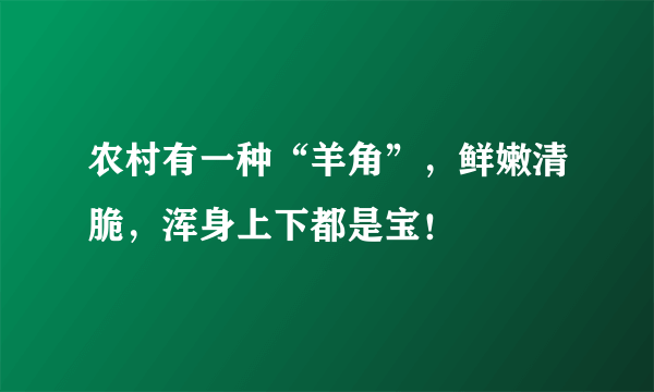 农村有一种“羊角”，鲜嫩清脆，浑身上下都是宝！