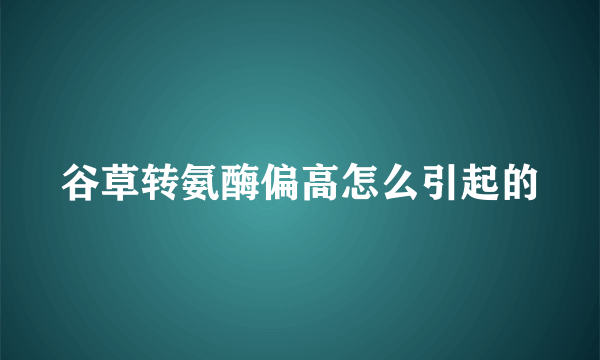 谷草转氨酶偏高怎么引起的