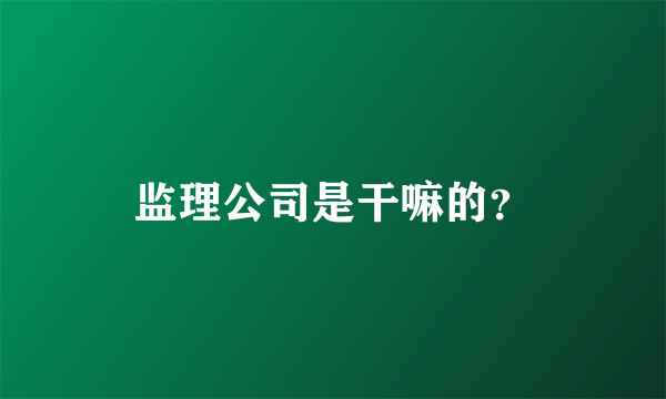 监理公司是干嘛的？