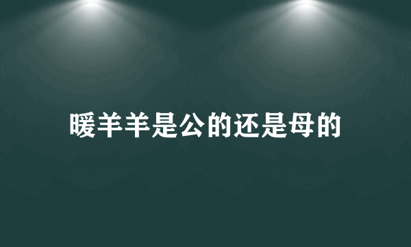 暖羊羊是公的还是母的