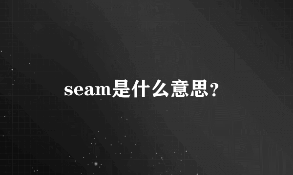 seam是什么意思？