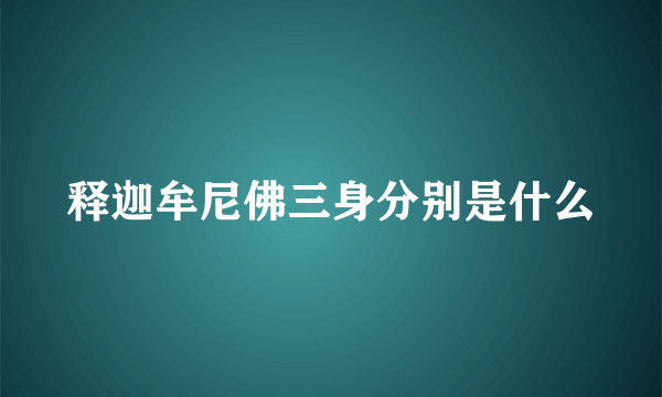 释迦牟尼佛三身分别是什么