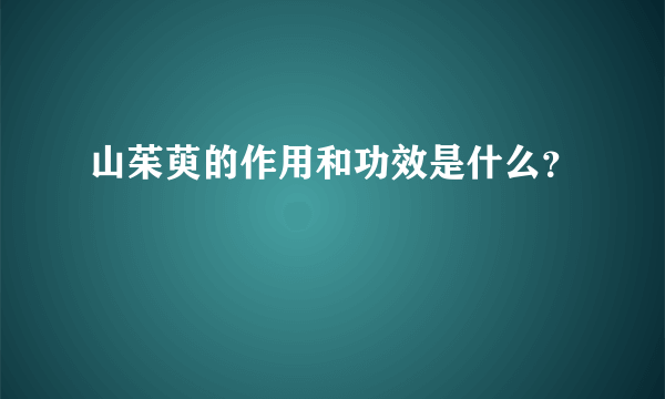 山茱萸的作用和功效是什么？