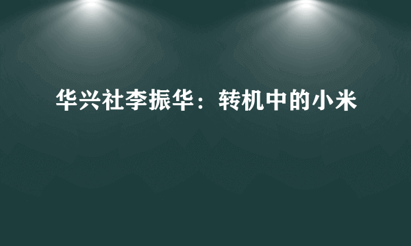 华兴社李振华：转机中的小米