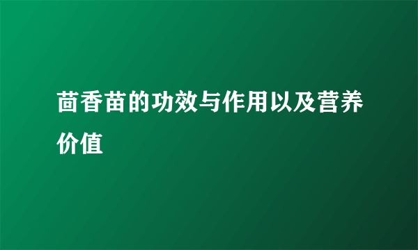 茴香苗的功效与作用以及营养价值