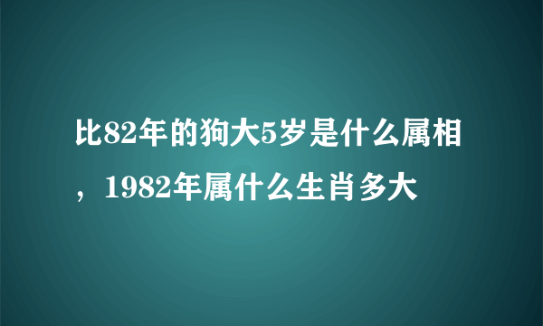 比82年的狗大5岁是什么属相，1982年属什么生肖多大