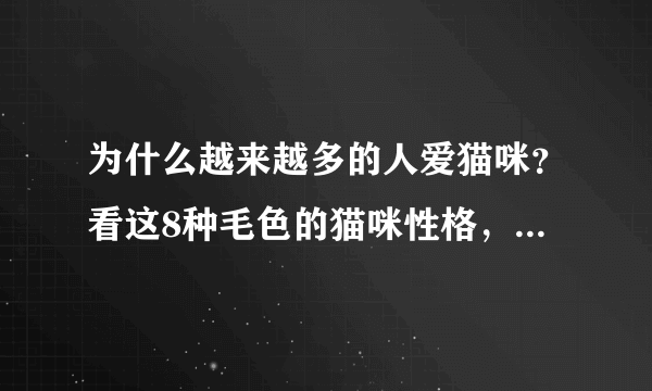 为什么越来越多的人爱猫咪？看这8种毛色的猫咪性格，想不爱都难