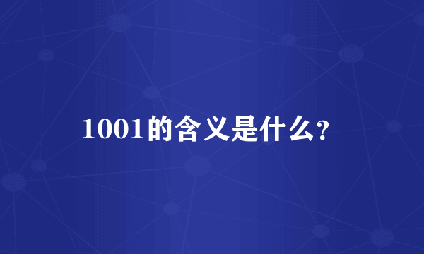 1001的含义是什么？