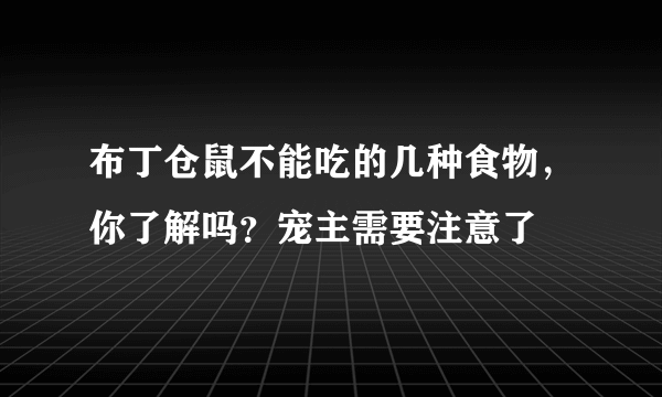 布丁仓鼠不能吃的几种食物，你了解吗？宠主需要注意了