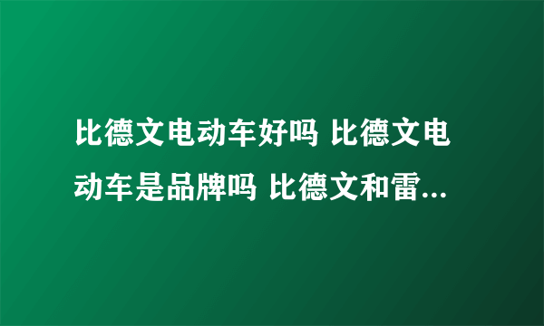 比德文电动车好吗 比德文电动车是品牌吗 比德文和雷丁什么关系