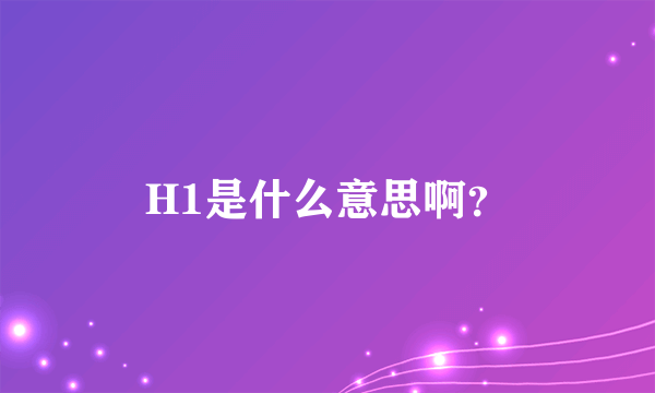 H1是什么意思啊？