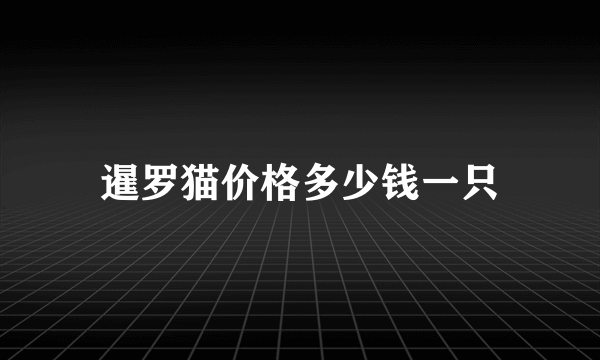 暹罗猫价格多少钱一只