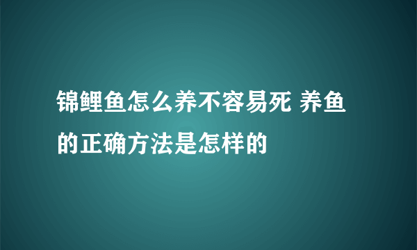 锦鲤鱼怎么养不容易死 养鱼的正确方法是怎样的