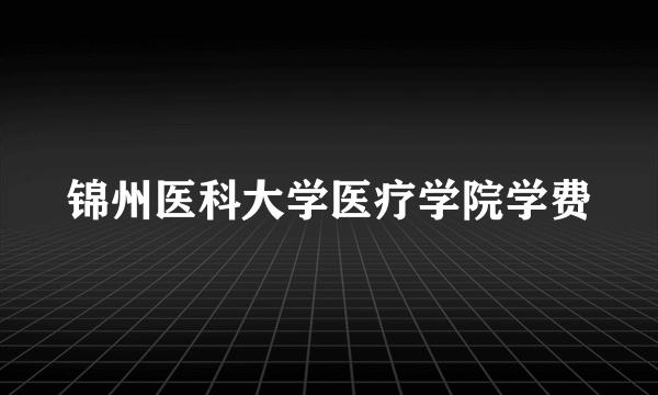 锦州医科大学医疗学院学费