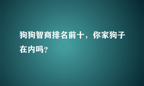 狗狗智商排名前十，你家狗子在内吗？