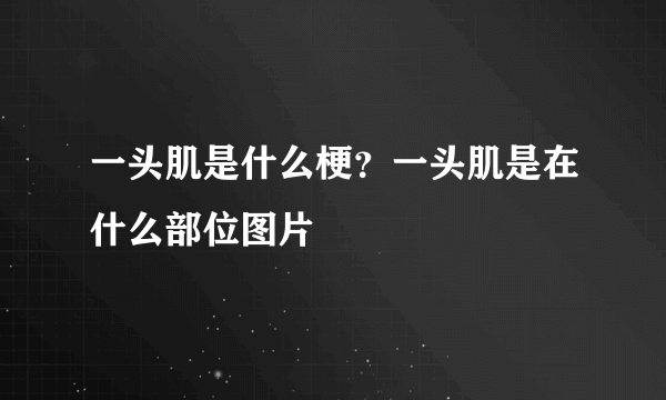 一头肌是什么梗？一头肌是在什么部位图片