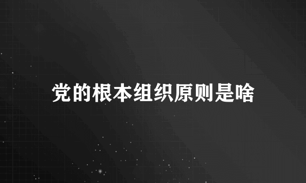 党的根本组织原则是啥