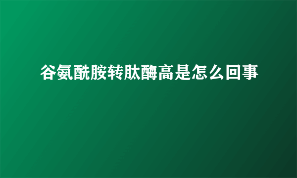 谷氨酰胺转肽酶高是怎么回事