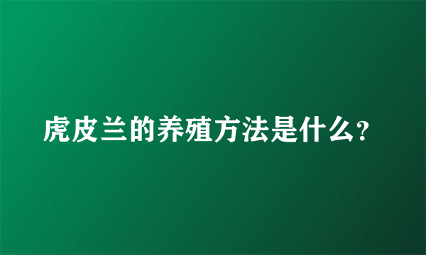 虎皮兰的养殖方法是什么？