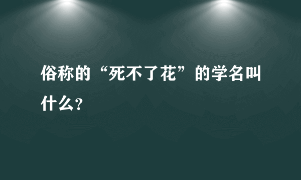 俗称的“死不了花”的学名叫什么？