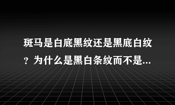 斑马是白底黑纹还是黑底白纹？为什么是黑白条纹而不是其他颜色？